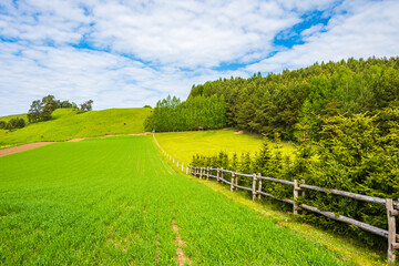 Fototapeta na wymiar Green meadow and farming fields In Suwalski Landscape Park during spring season, Podlasie, Poland
