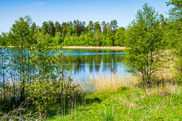 Fototapeta na wymiar Beautiful view of Hancza lake in Suwalski Landscape Park, Podlasie, Poland