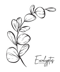 Botanical elegant line illustration of a eucalyptus leaves branch for wedding invitation and cards, logo design, web, social media and poster, template, advertisement, beauty and cosmetic industry.