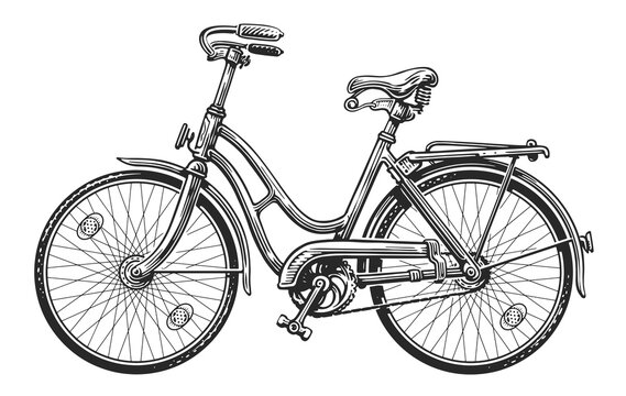 Women's retro bicycle, sketch. Hand drawn bike transport isolated