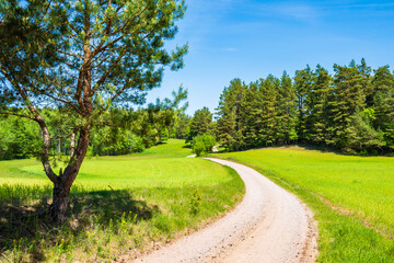 Gravel road and green fields with forest near Wigry lake in Wigry National Park, Podlasie, Poland