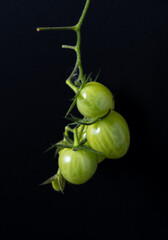 tomato cherry in plant green