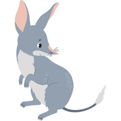 Cute bilby animal
