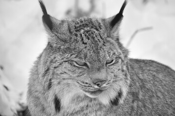 E. Z. M. 9 Décembre 2023 - N&B