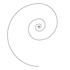 Isolated spiral . Transparent thin black line in circle form. Single line spiral. Helix, curl, loop symbol. Flat design.
