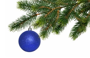 Christmas tree branch and single blue glass ball isolated on white, transparent background, PNG. New year decor, traditional holiday decoration