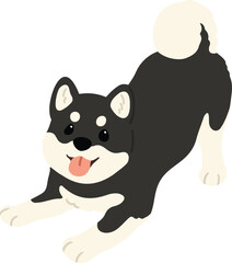 Simple and cute flat colored illustration of black Shiba Inu being playful