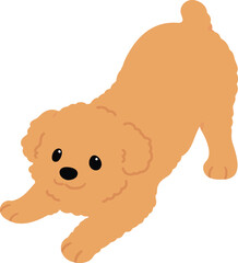 Simple and cute flat colored illustration of Chipoo being playful