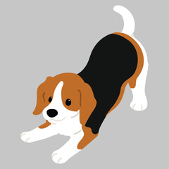 Simple and cute flat colored illustration of Beagle being playful