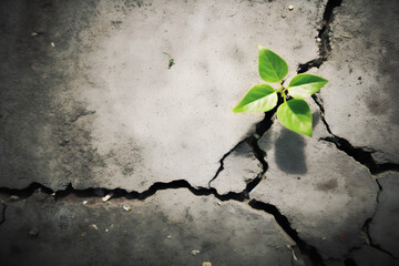 Recovery and Challenge in Life or Business Concept.Economic Crisis Symbol or Ecology System.New Sprout Green Plant Growth in Cracked Concrete