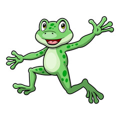 Cute frog cartoon on white background