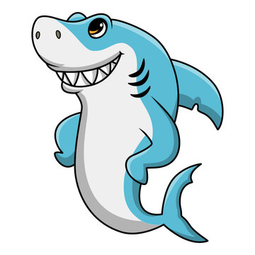 Cute shark cartoon on white background