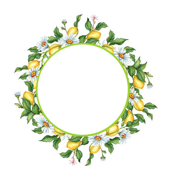 Watercolor illustration of a frame of ripe, yellow, juicy lemons, buds and daisies. Tropical wreath isolated on white background. Delicious food for design, print, fabric, background, posters, cards,