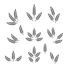 Flat Vector Agriculture Wheat Icon Set Isolated, Organic Wheat, Rice Ears. Design Template for Bread, Beer Logo, Packaging, Labels