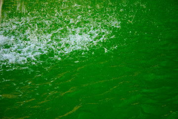 Transparent dark green clear water surface texture with ripples, splashes