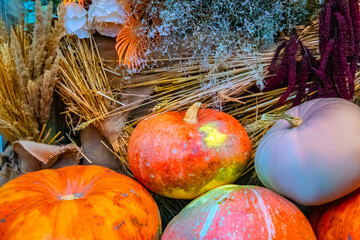 Thanksgiving and Autumn decoration concept made from autumn leaves and pumpkin on stone background