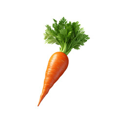 Fresh carrots. Fresh vegetables
