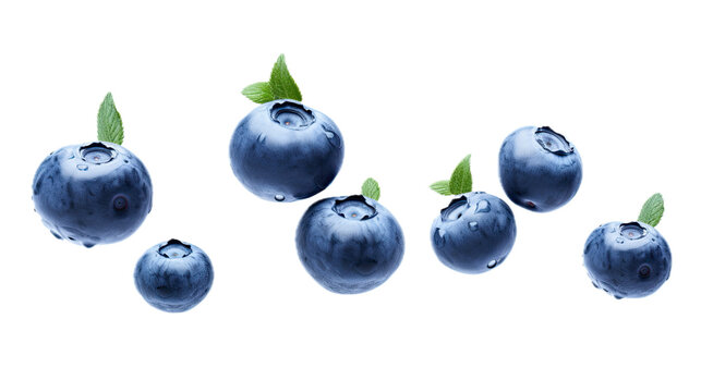 Blueberries separated floating in a side view, PNG, in a Healthy-themed, isolated, and transparent photorealistic illustration. Generative ai