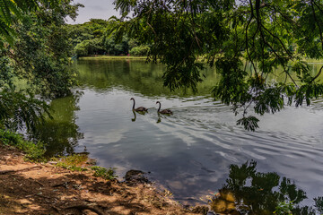 cloudy day in Ibirapuera Park in Sao Paulo