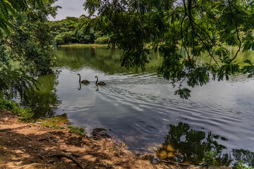 cloudy day in Ibirapuera Park in Sao Paulo