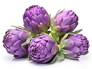 Obraz premium Artichoke hearts isolated on white background