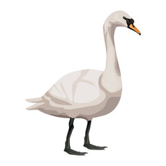 goose isolated on white