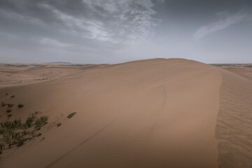 Badain Jaran Desert, largest desert in China, located in Inner Mongolia, China