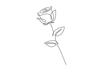 Continuous single line drawing of rose flower. Isolated on white background vector illustration. Pro vector. 
