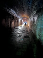 Fototapeta premium light in the dark 猿島