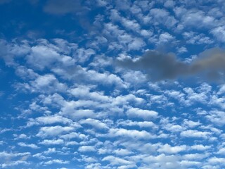 ひつじ雲