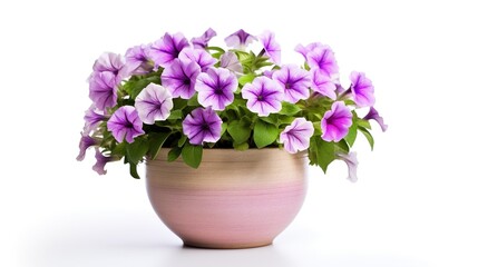 Naklejka na ściany i meble lilac in a vase