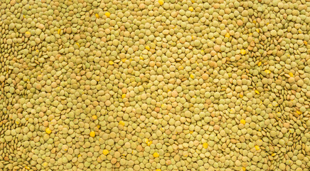 lentil grains in full screen for background