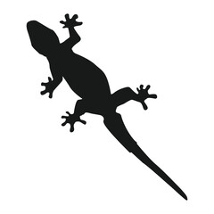 house lizard vector icon