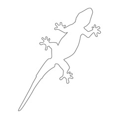 house lizard vector icon