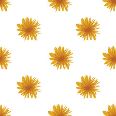 Seamless dandelion pattern isolated. Stock vector illustration