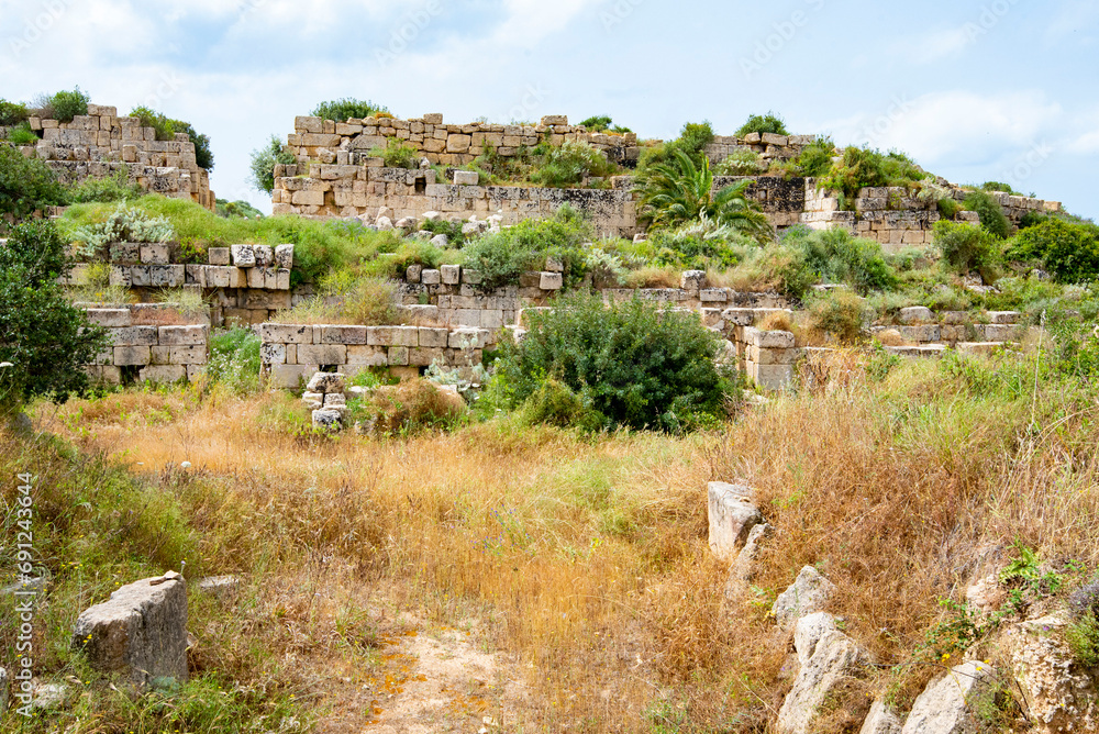 Poster selinunte archaeological park - sicily - italy