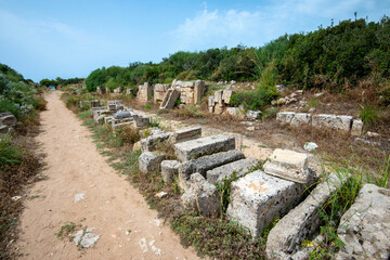 Fototapeta na wymiar Selinunte Archaeological Park - Sicily - Italy