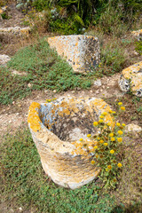 Selinunte Archaeological Park - Sicily - Italy