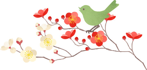 梅とウグイスのイラスト