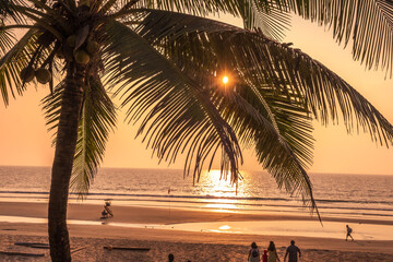 silhouettes of coconut trees palms against the blue sky of India with sunset - obrazy, fototapety, plakaty