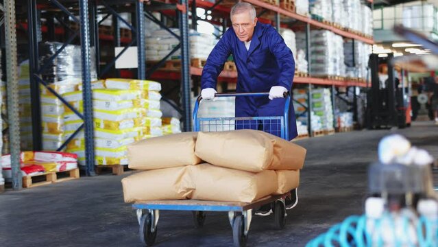 In warehouse rack area of store, stevedore loader mature man pushes and carries large cart for bulky cargo