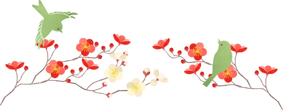 梅の花とウグイスのイラスト