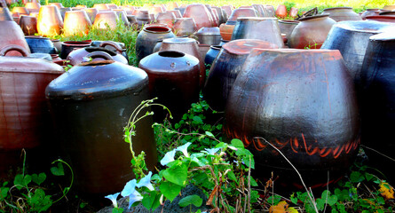 자연 속 장독대