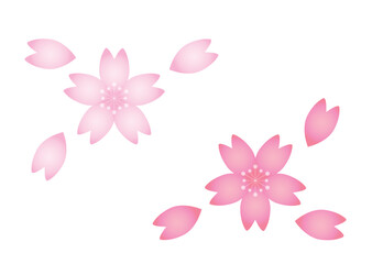 シンプルなグラデーションの桜の花びら