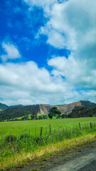 Landscape New Zealand