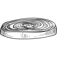 onion handdrawn illustration