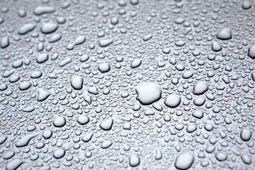 raindrops on the bonnet