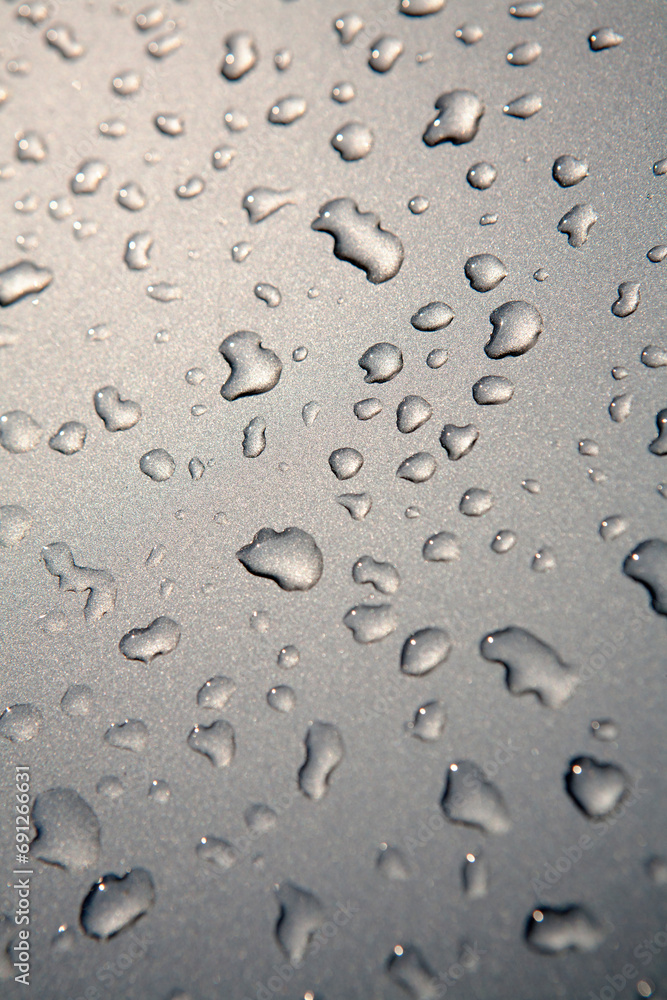 Canvas Prints raindrops on the bonnet