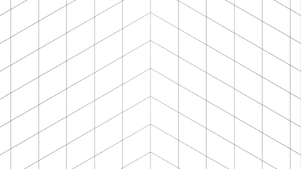 Foto op Canvas Empty futuristic perspective corner room with white background and black grid space lines. Ideal for sci-fi, wireframe, technology, banner, cover, and terrain designs. © dhaan