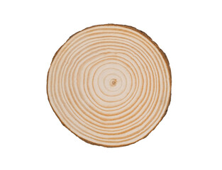 Wood slab tree rings section. Cut wood slice background  with white space    - 691270237
